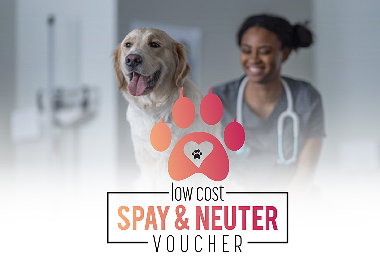Low Cost Pet Spay/Neuter Voucher